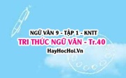 Soạn bài Tri thức ngữ văn trang 40 lớp 9 tập 1 Kết nối tri thức